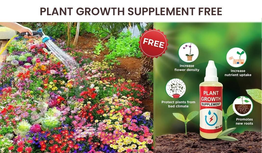 Buy Varieties of Flower Seeds (Pack of 100) And Get Plant Growth Supplement *Free*
