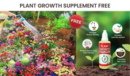 Buy Varieties of Flower Seeds (Pack of 100) And Get Plant Growth Supplement *Free*