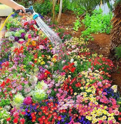 Buy Varieties of Flower Seeds (Pack of 100) And Get Plant Growth Supplement *Free*