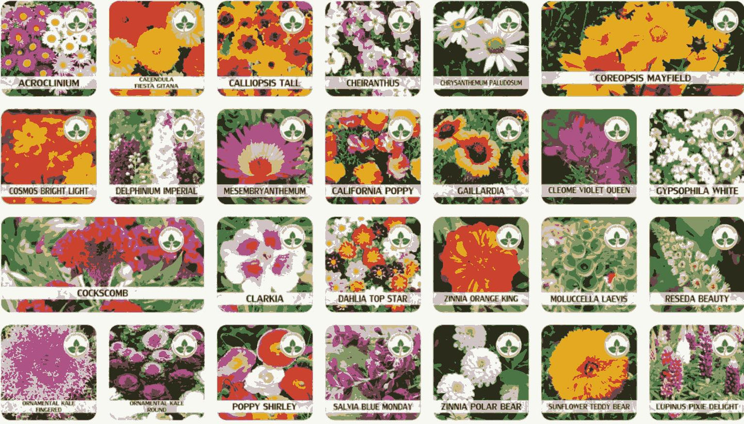 Buy Varieties of Flower Seeds (Pack of 100) And Get Plant Growth Supplement *Free*