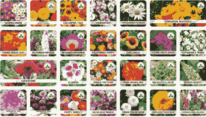 Buy Varieties of Flower Seeds (Pack of 100) And Get Plant Growth Supplement *Free*